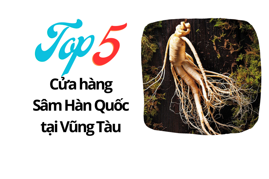 top 5 cua hang sam han quoc vung tau